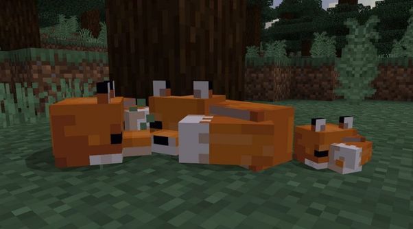 How To Make Things Move In Minecraft With Command Blocks