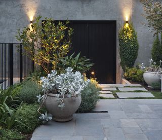 Lush gardens weave through the existing bones of a Victorian terrace in Albert Park, Melbourne