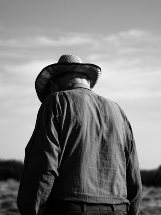 The back of an old farmer in the sun