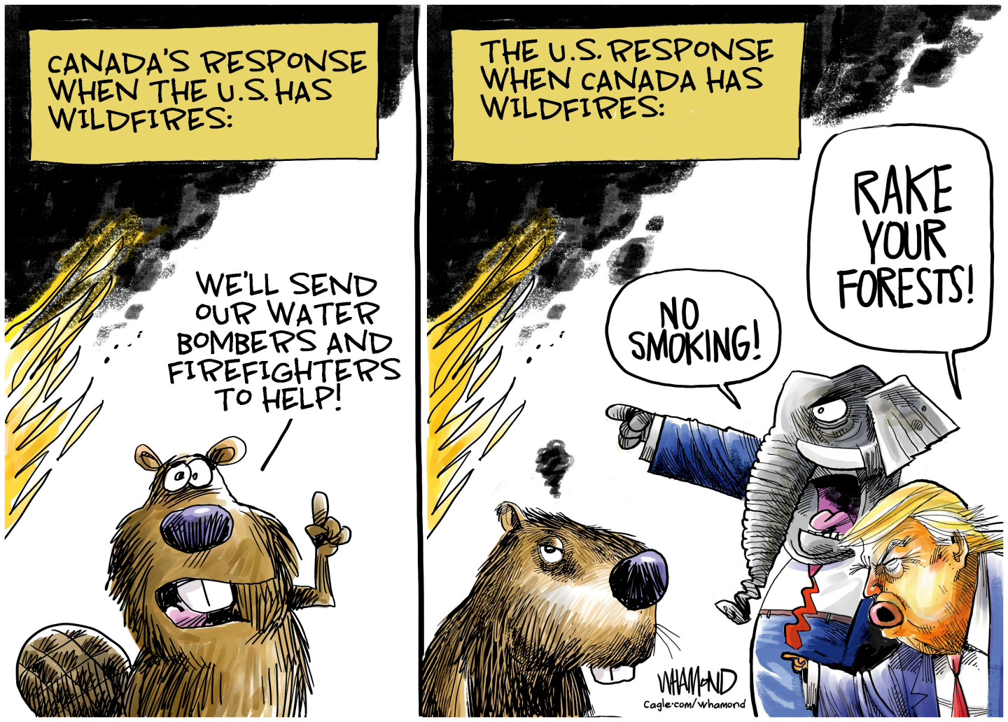 Political cartoon