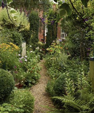 Frances Tophill small garden tip