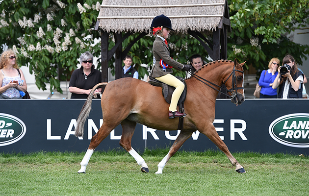 Libby Grota riding GRYNGALLT PAGE TOO, during the Show Hunter Pony Championship at the Royal Windsor Horse Show in the private grounds of Windsor Castle in Windsor in Berkshire in the UK between 10th-14th May 2017