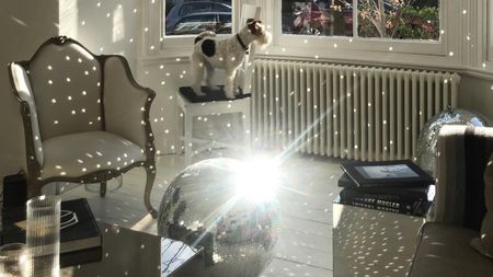 a disco ball reflecting light in a white living room with a dog on a stool