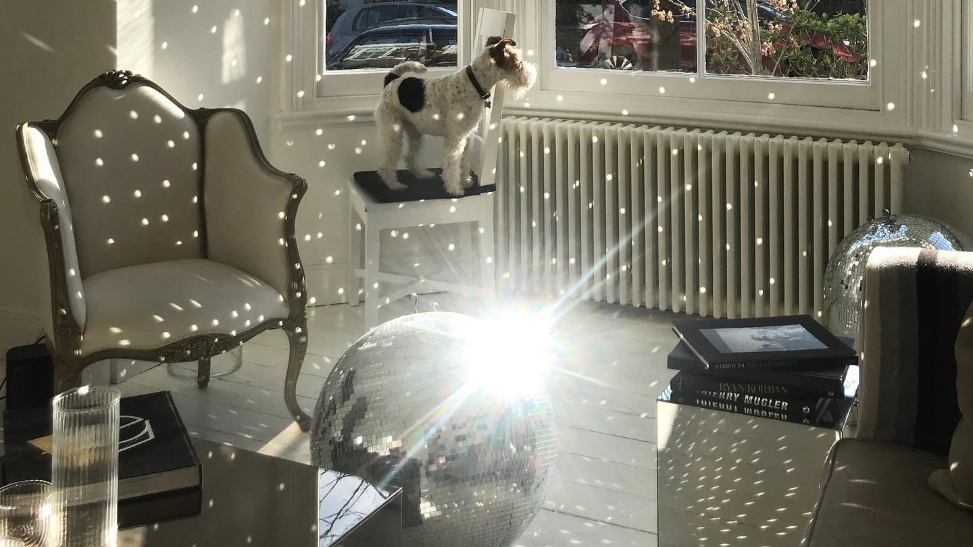 a disco ball reflecting light in a white living room with a dog on a stool