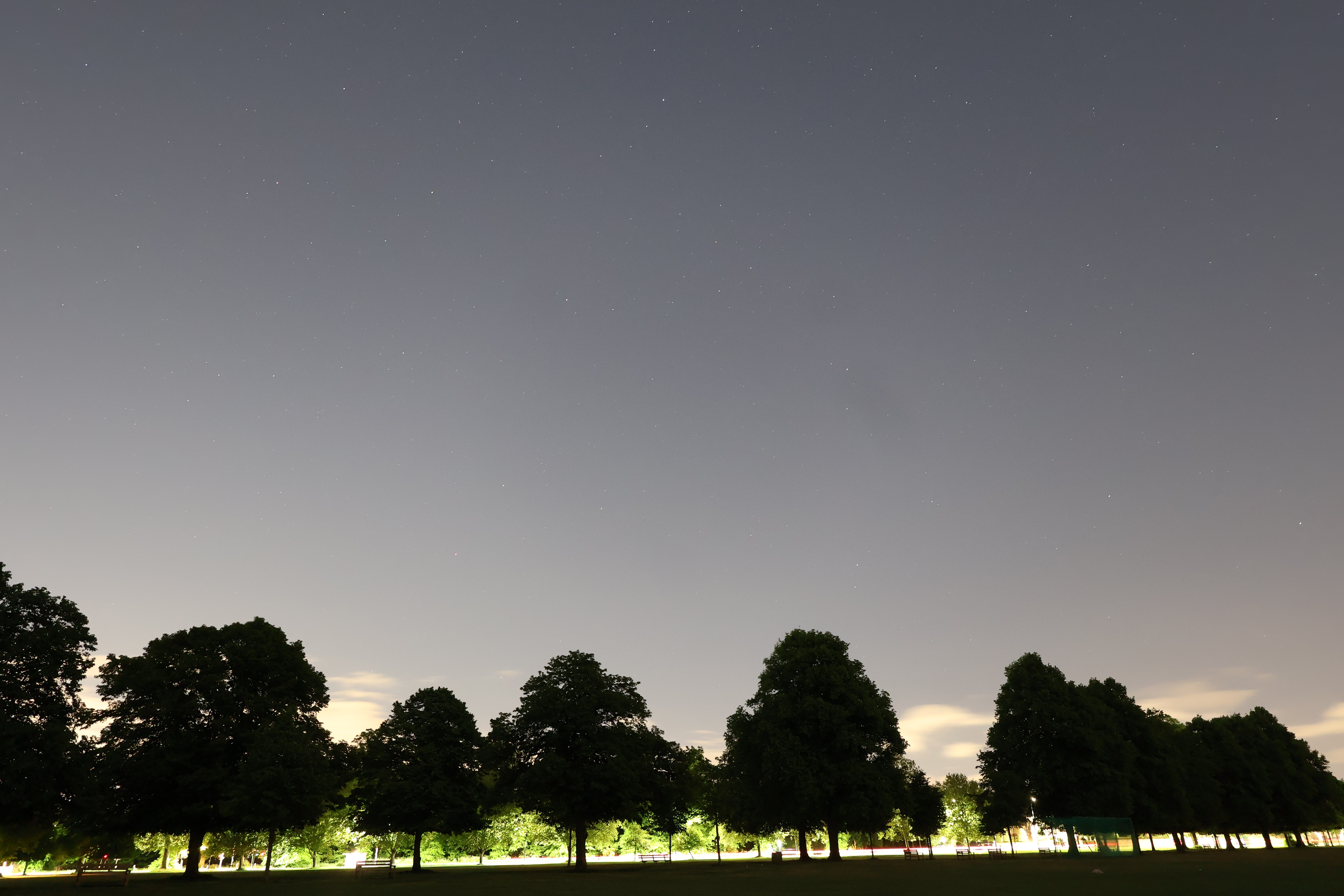 A picture of a tree line at dusk, taken on the Canon EOS R50 V.