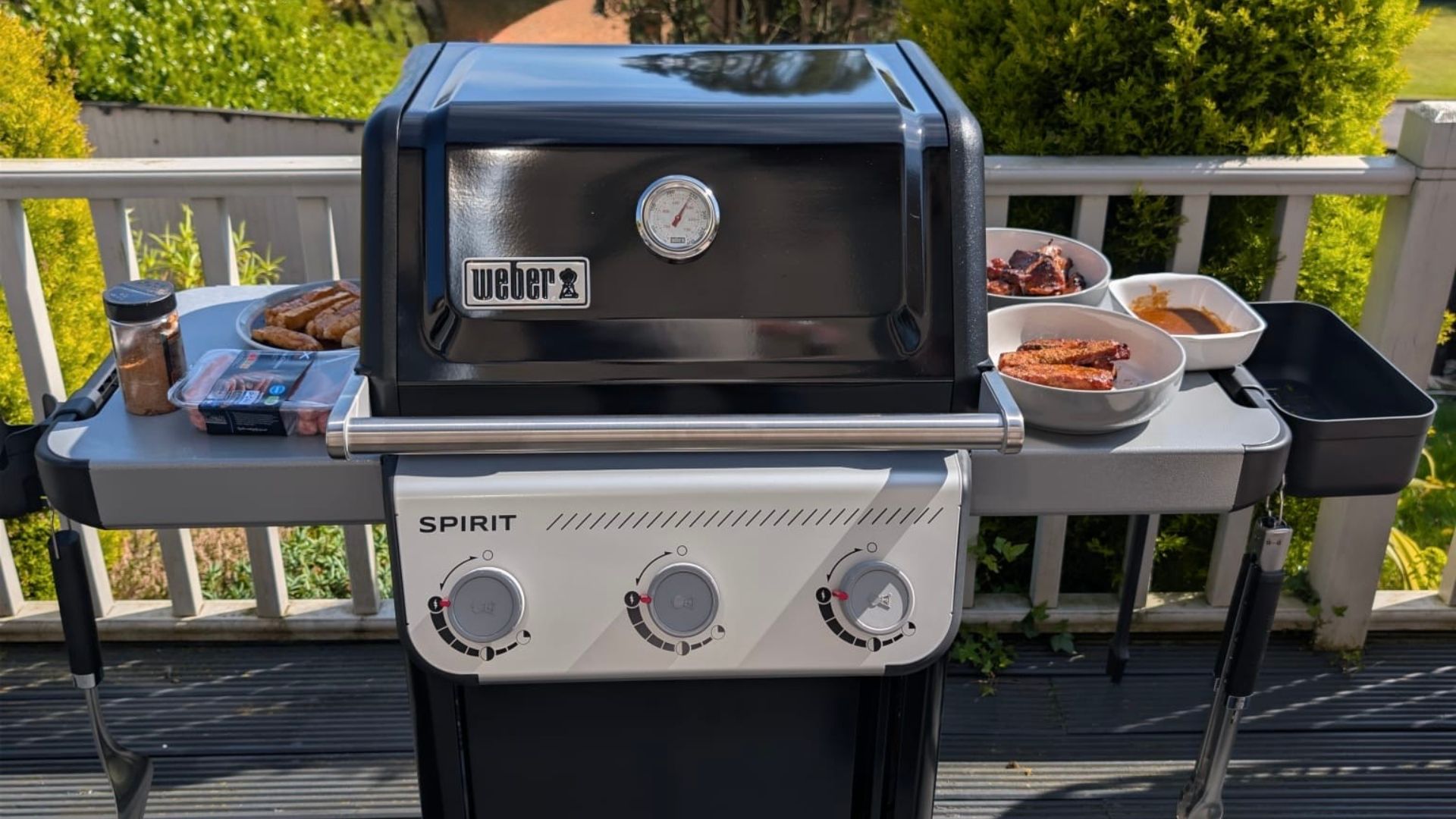 testing the Weber Spirit E-310 Barbecue