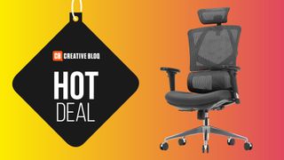 Ergonomic office chair deal.