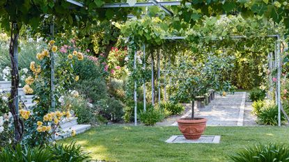 Cut grass in a garden with flowers