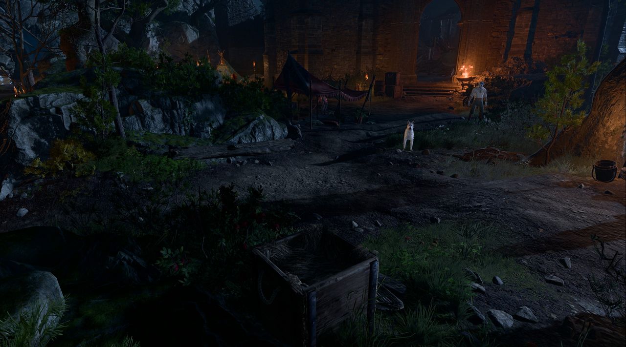 Wyrm's Lookout Baldur's Gate 3