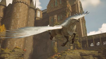 Hogwarts Legacy pets and magical beasts - hippogriff
