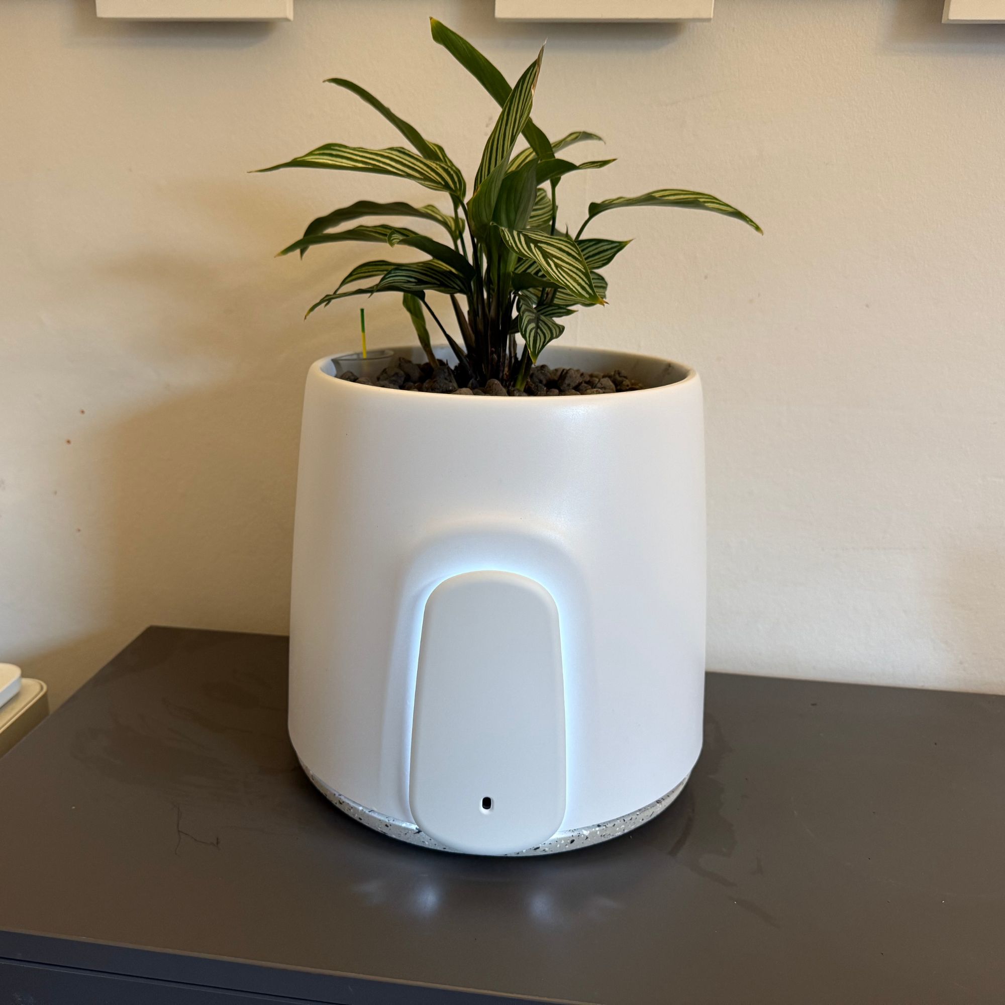Vitesy Natede Smart air purifier on a black cabinet in front of a white wall