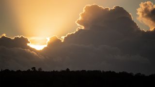 Nikon Z 70-200 f2/8 sample image