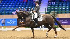 Winter Dressage Championships