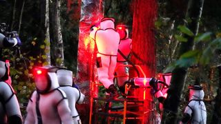 Wearing protective suits, Washington State Department of Agriculture workers vacuum up a nest of Asian giant hornets on Oct. 24, 2020, in Blaine, Washington. Working in the pre-dawn darkness, the workers are illuminated by red lamps as they search, trap and use dental floss to tie tracking devices to the so-called murder hornets. 