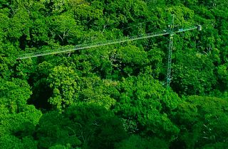 A canopy crane in the Parque Natural San Lorenzo (tropical rainforest), Smithsonian Tropical Research Institute, Panama.