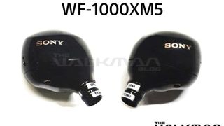 Sony WF-1000XM5 wireless earbuds: Everything we know so far
