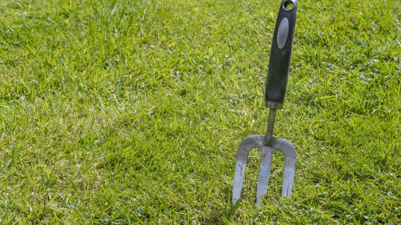 A garden fork in a lawn