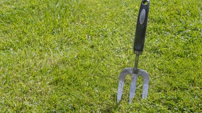 A garden fork in a lawn