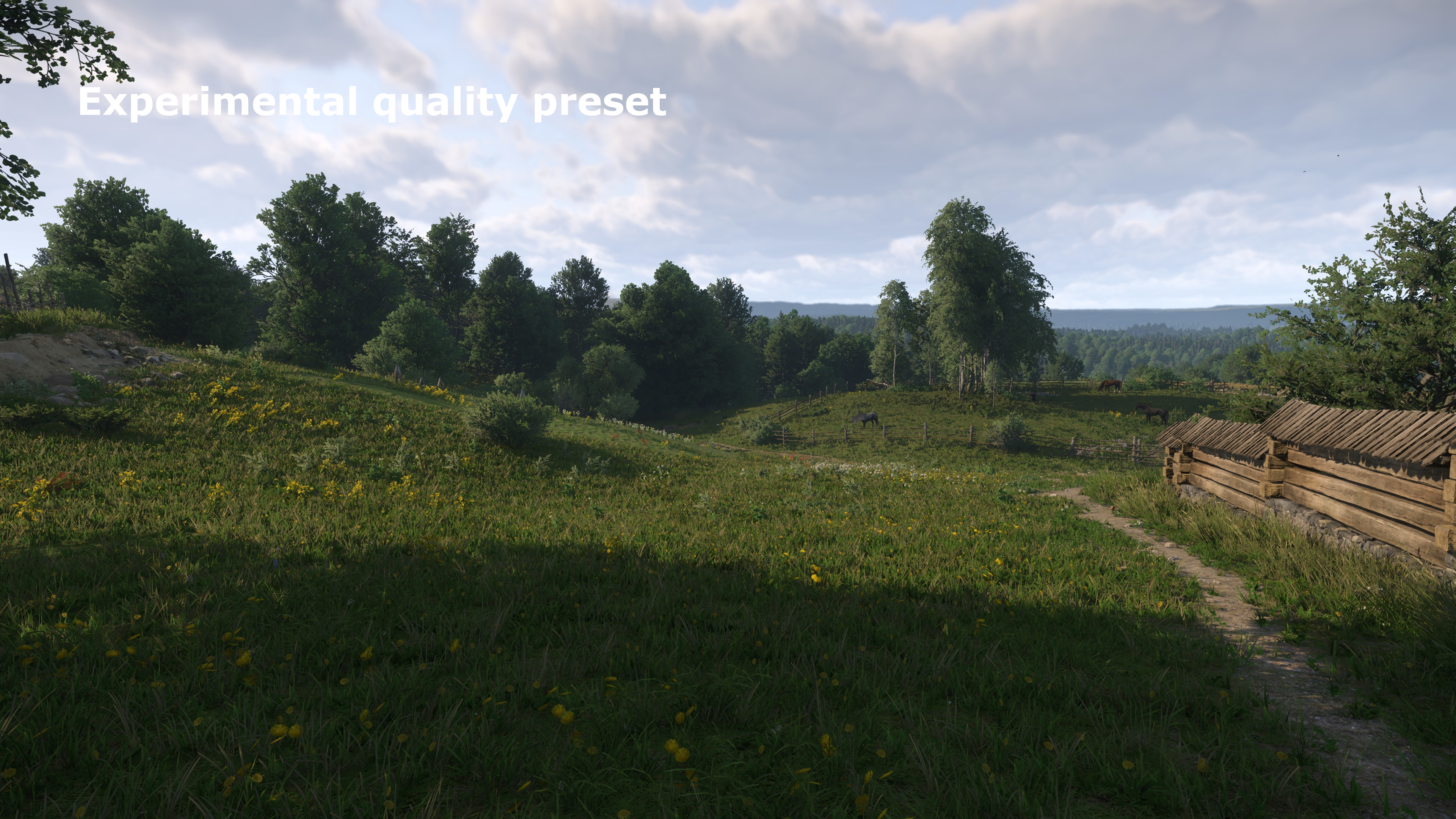 A screenshot from Kingdom Come: Deliverance 2 showing the graphics detail with the Experimental quality preset