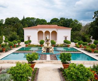 Paradise garden with square water feature surrounded by citrus trees in pots and dense planted borders