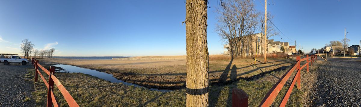 Apple iPhone 16 panorama sample.