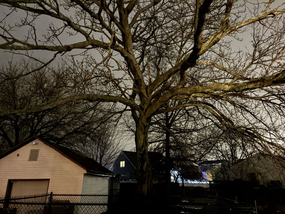 Apple iPhone 17e camera sample.