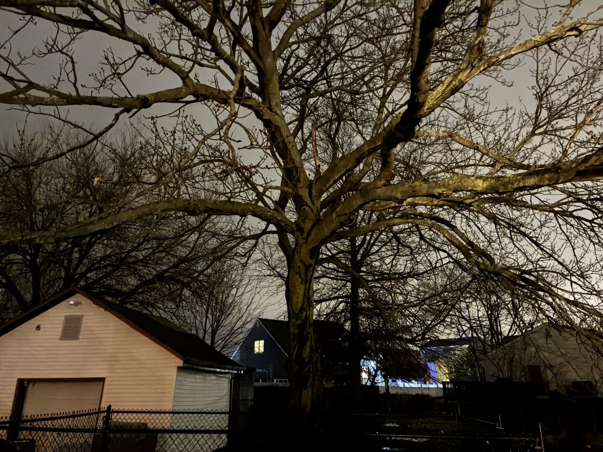 Apple iPhone 17e camera sample.