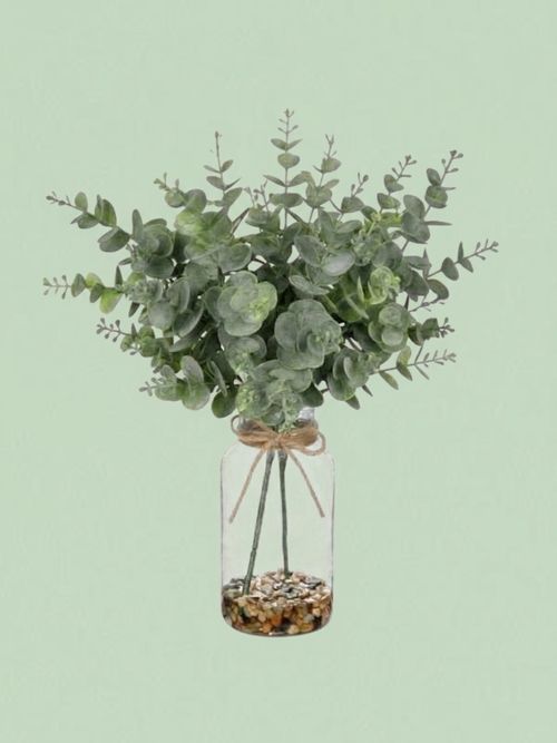 Artificial Eucalyptus Stems in Glass Vase