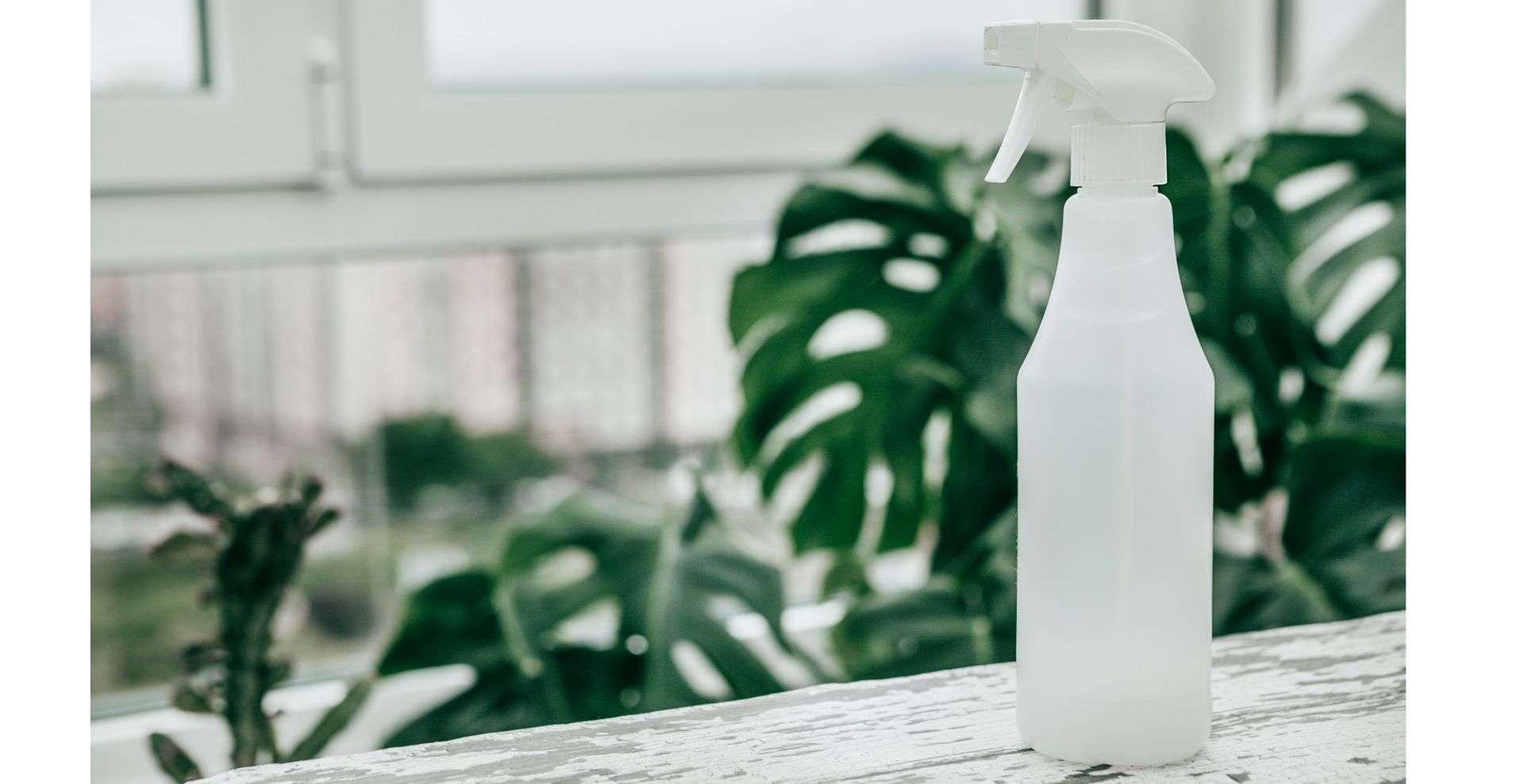A white spray bottle on a wooden table in front of houseplants to demostrate step one of how to clean a mirror by making a DIY cleaning solution