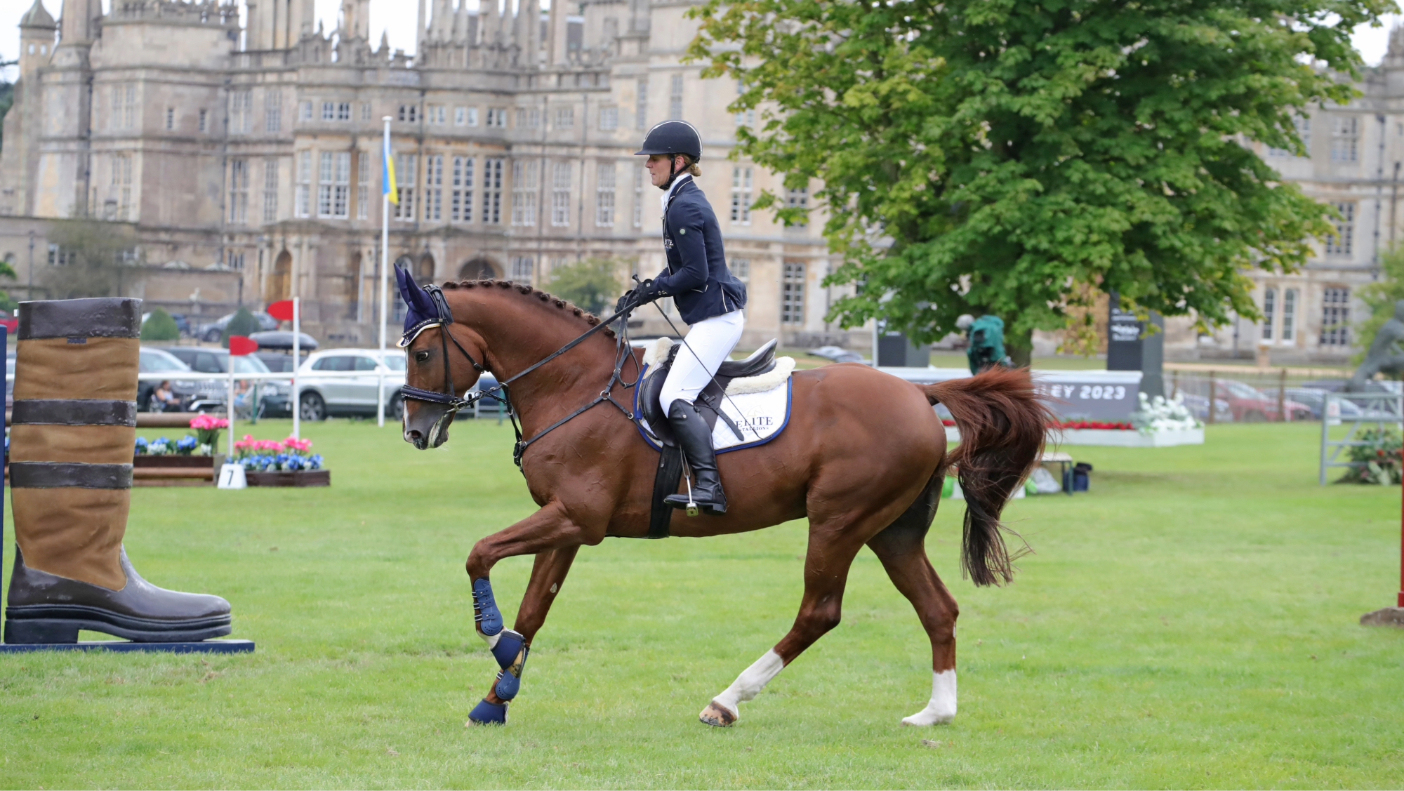 Amiro Z, Zangersheide eventing stallion at stud with Elite Stallions