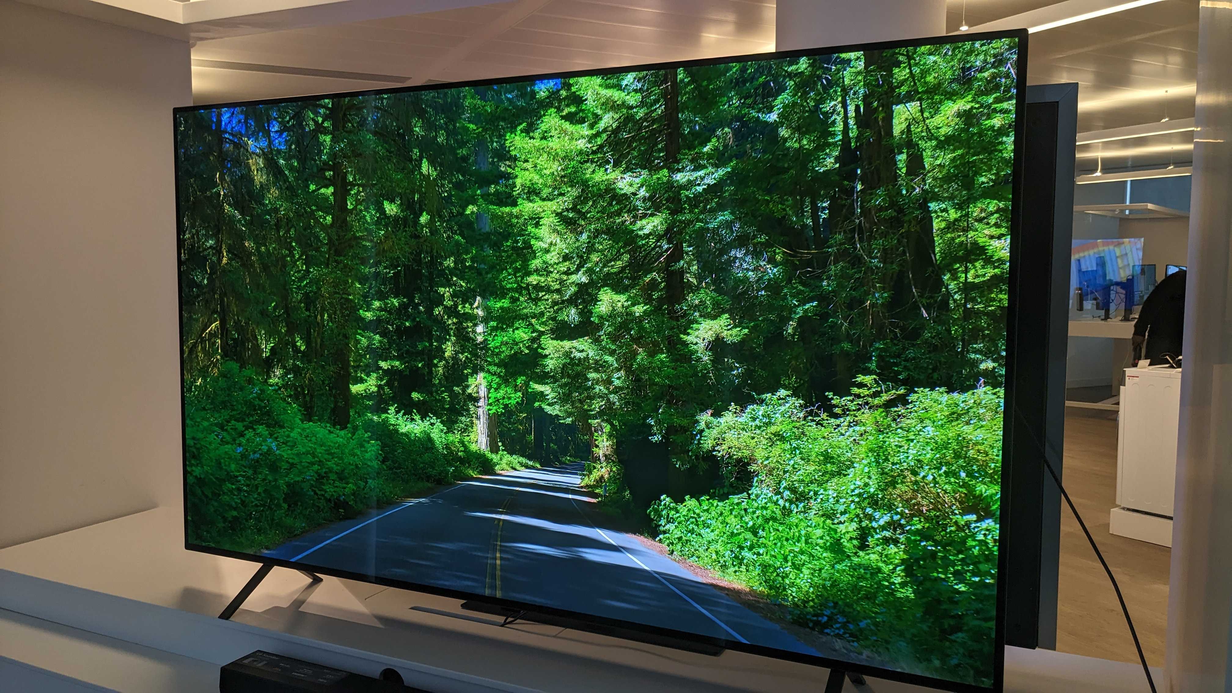 LG B4 OLED TV met een groen bos in beeld