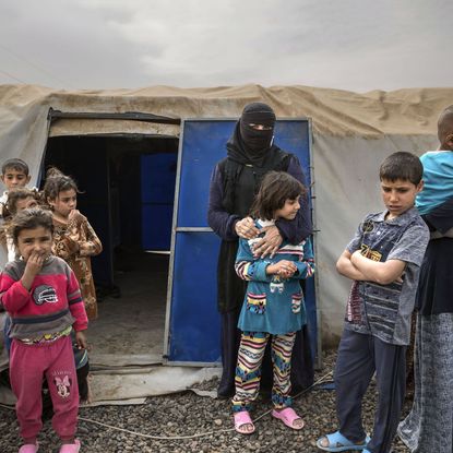 Wives of Isis