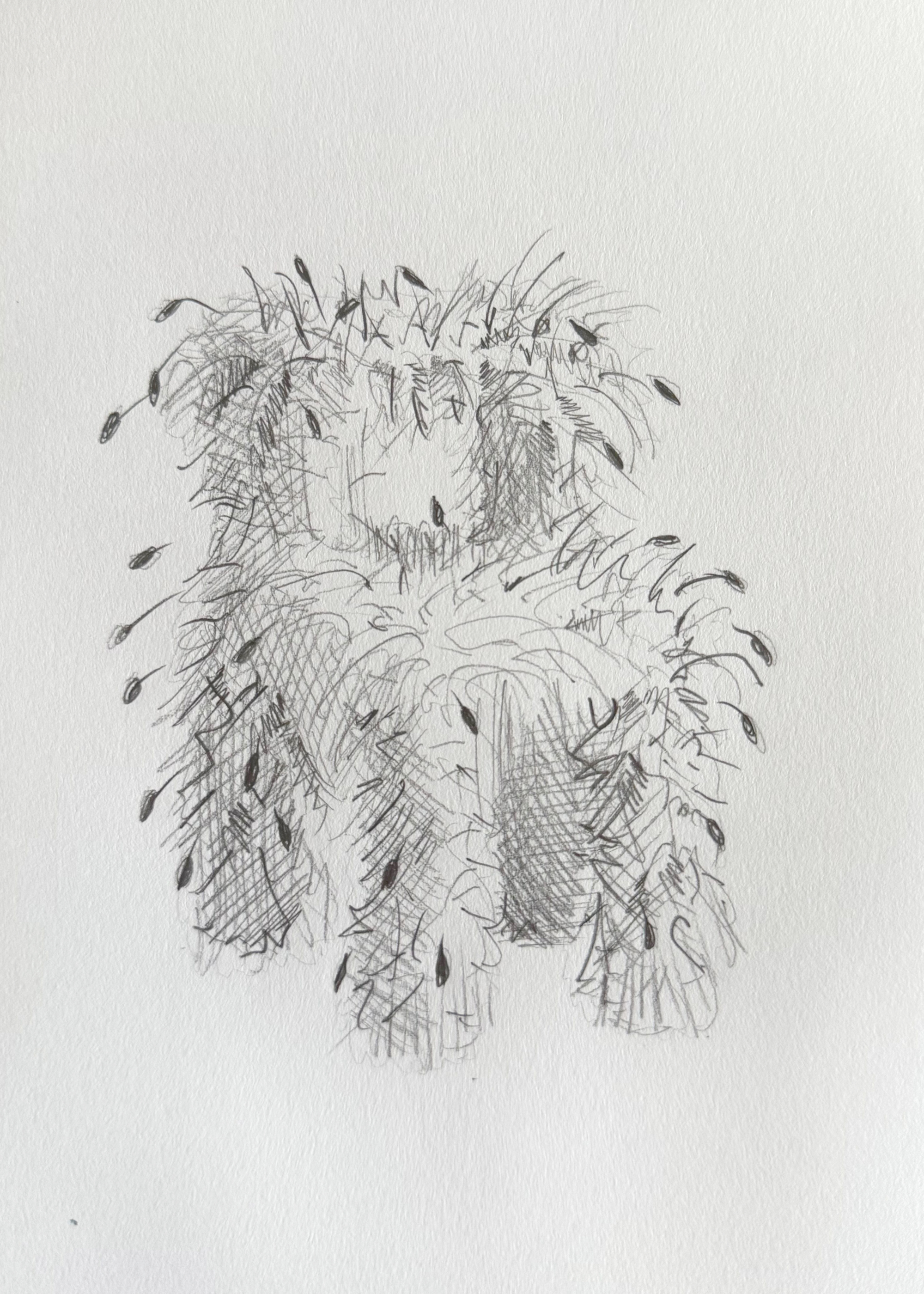 A sketch of a hairy chair