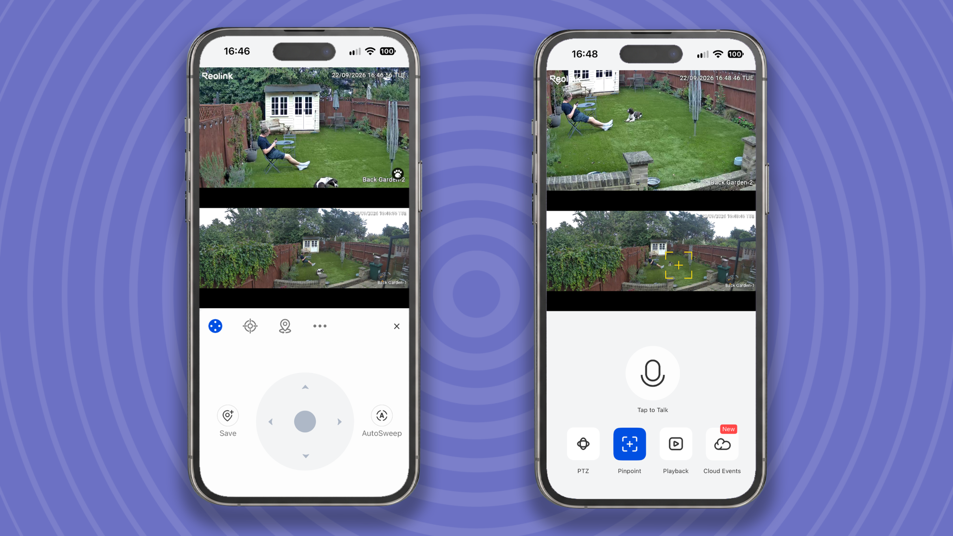 Reolink Omvi 3i security camera detecting a pet