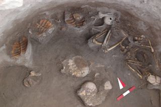 Turtle Skeletons in Ancient Grave