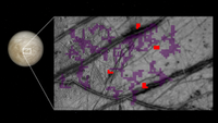 Composite image showing Europa at left with a box out highlighting a section of the moon's surface. The boxout image is gray with red and purple boxes overlaying it in some areas. 