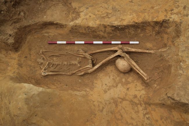 Photos: Decapitated Romans Found in Ancient Cemetery | Live Science