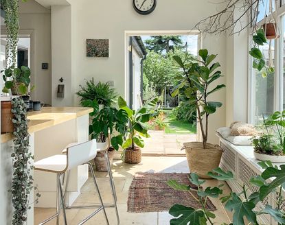 a kitchen diner full of plants looking out onto a agrden