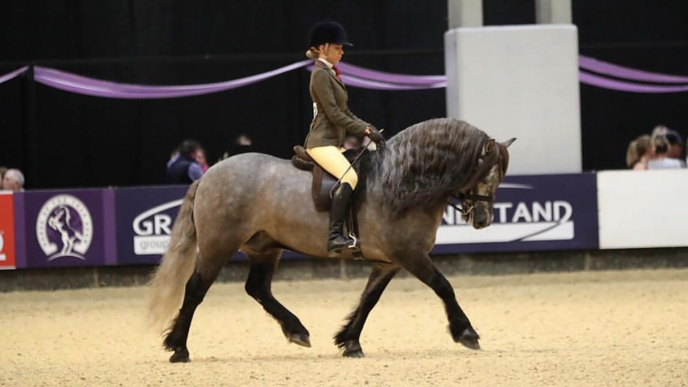 Isobel Lines riding at HOYS