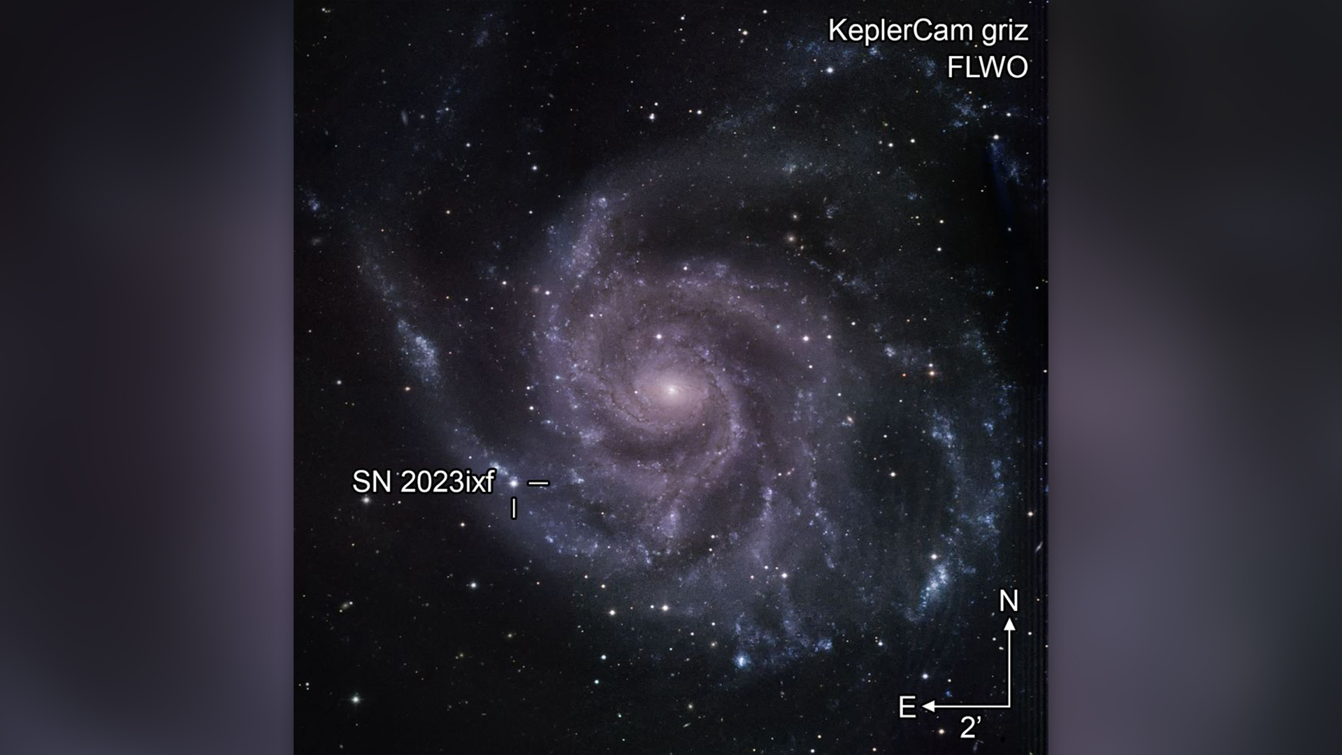 La posizione di SN 2023ixf in M101, la Galassia Girandola.