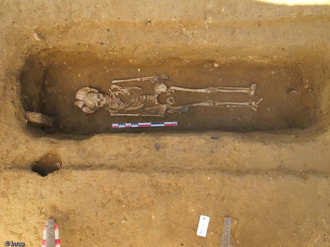 In images: Deformed skulls and Stone Age tombs from France | Live Science