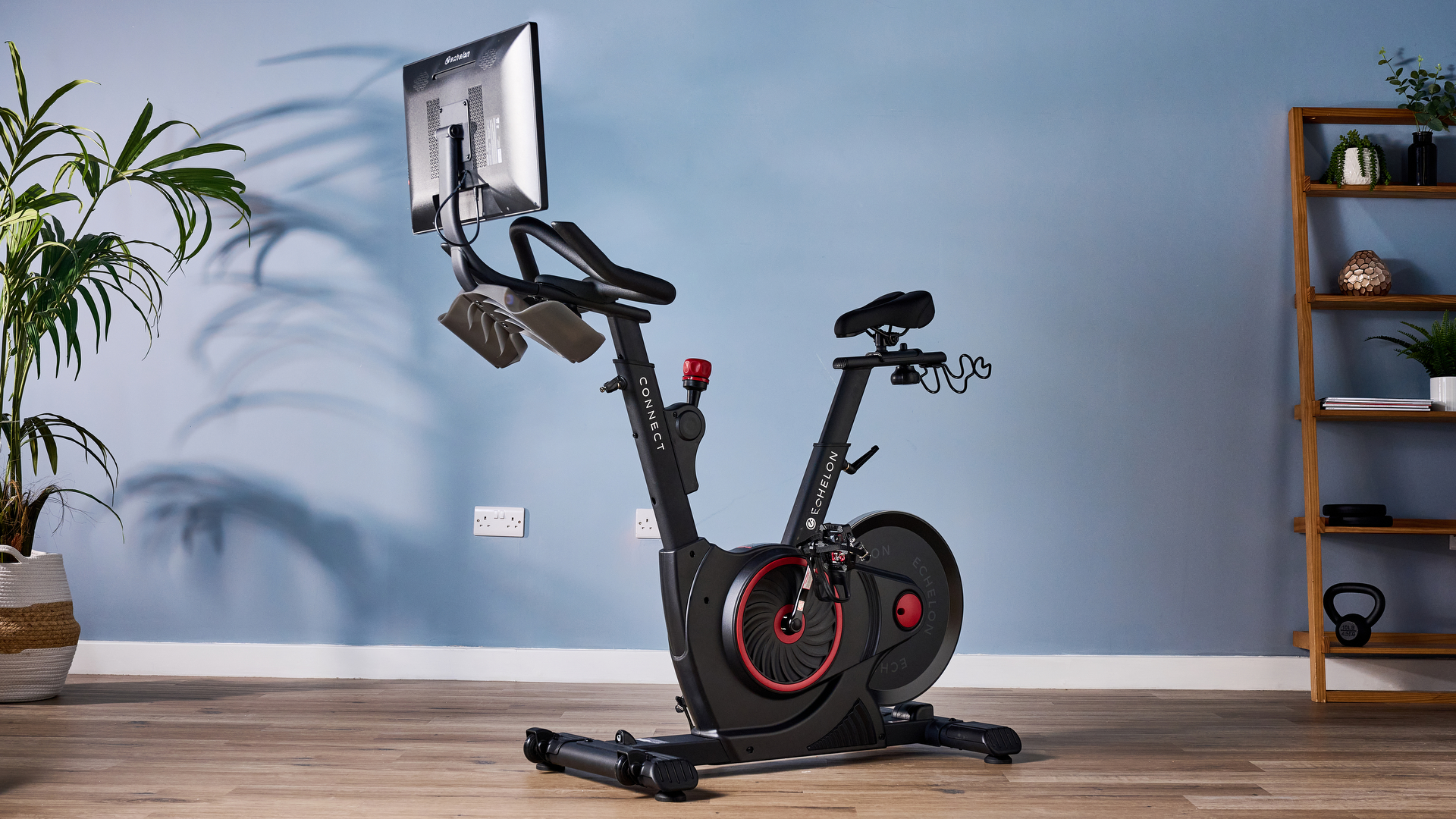 echleon ex-5s photographed in front of a blue background