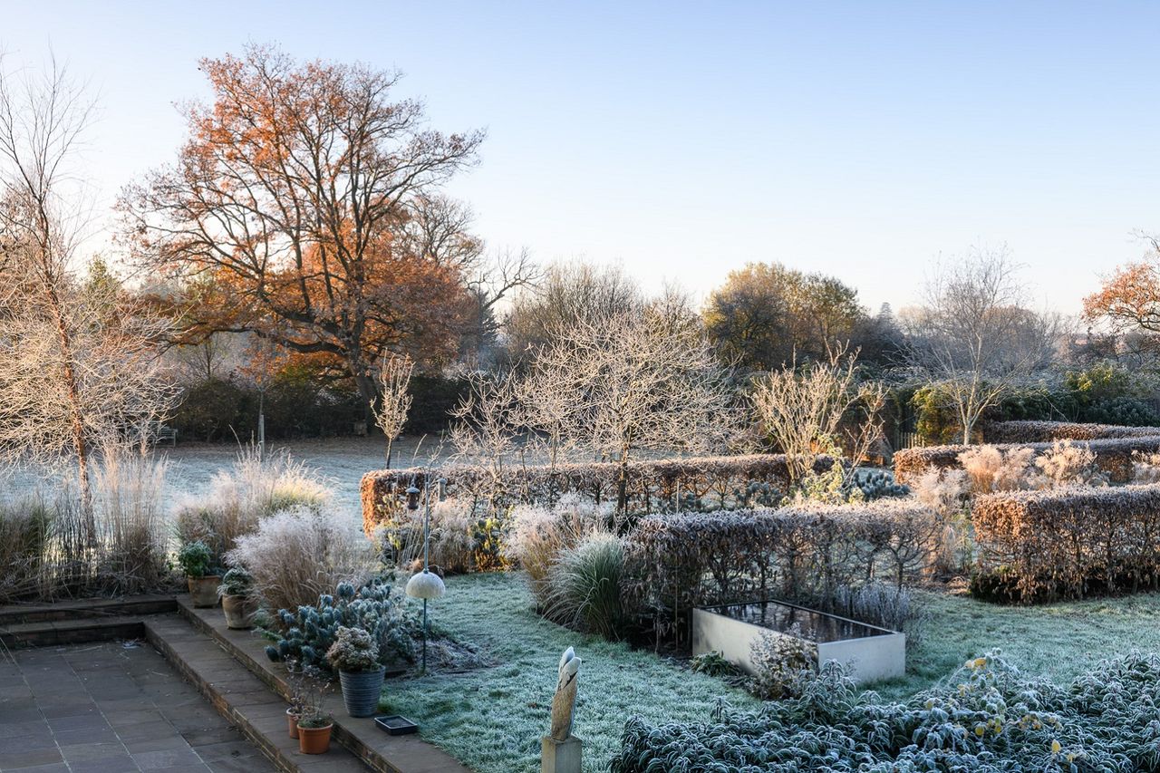 Broken hornbeam hedges delieate the flower garden that links the house and terrace to the walled garden © Jason Ingram