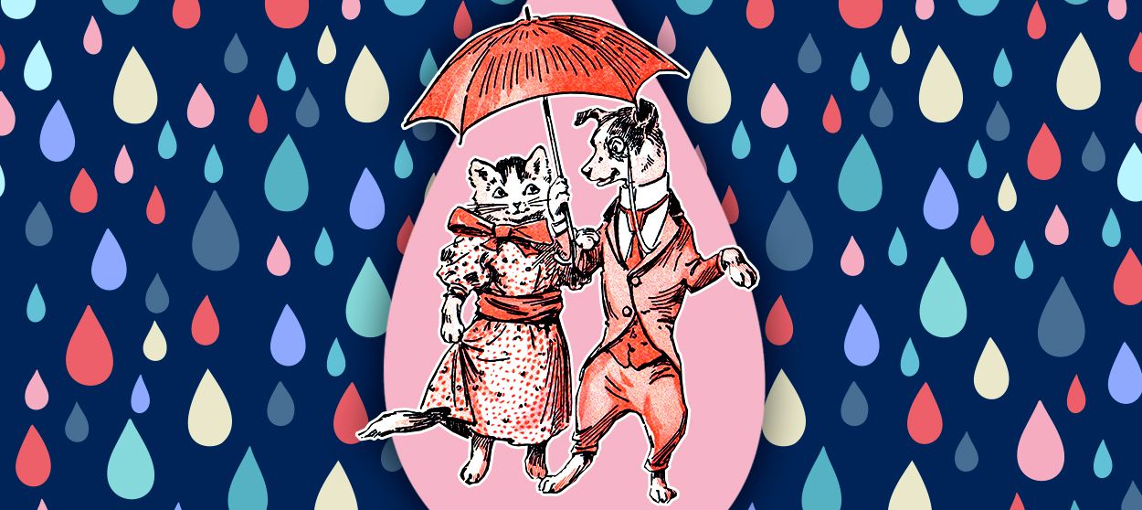 A dog and a cat walking through cartoon rain.