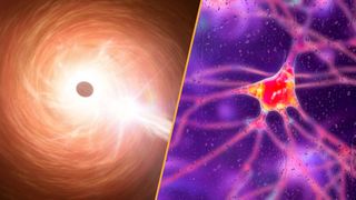 A split image showing a monster black hole on the left and a neuron on the right.
