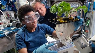 NASA astronauts Jessica Watkins and Bob Hines with a growing plant on space station.