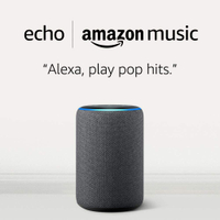 Echo + 4 months Amazon Music Unlimited: $99.99