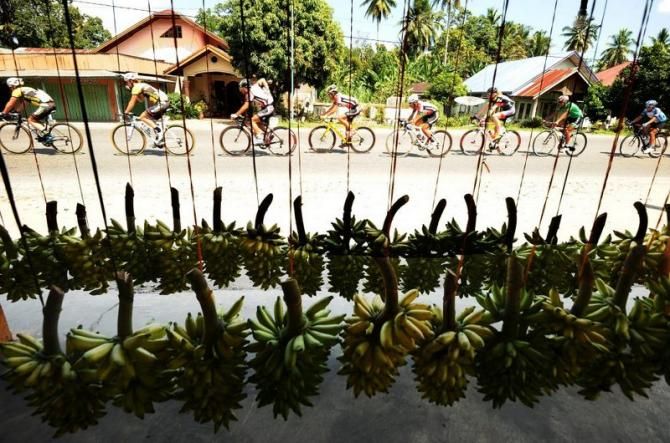 The peloton passes a banana stall during Stage 6
