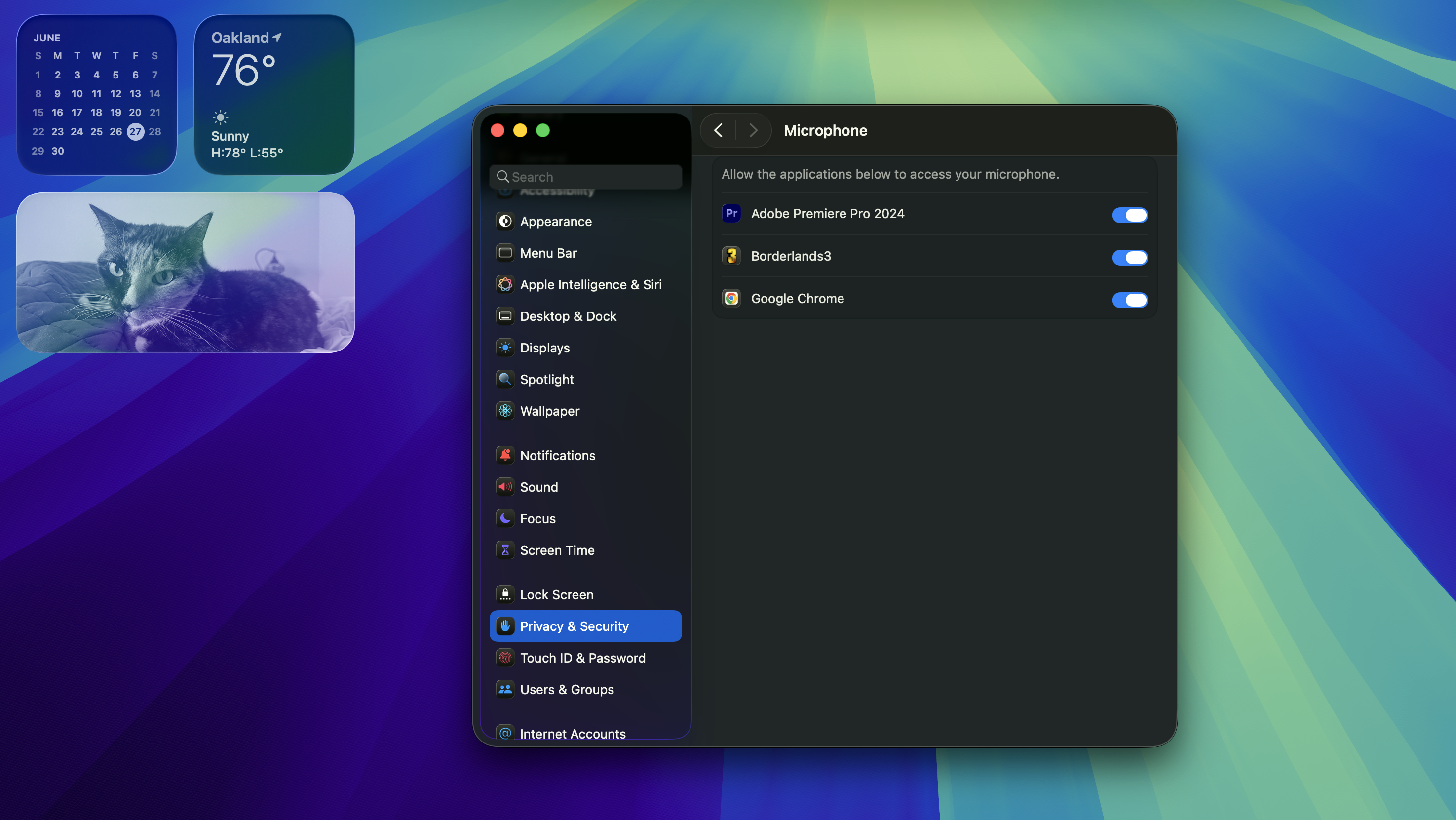 macOS System Settings menu