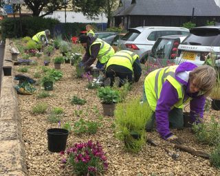 volunteers for Bath in Bloom planting a flower bed